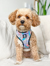 Load image into Gallery viewer, Bark of Art Adjustable Harness
