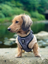 Load image into Gallery viewer, Onyx Jungle Five Piece Walkies Bundle - Save £25
