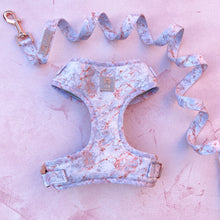 Load image into Gallery viewer, Rose Gold Marble Adjustable Harness &amp; Lead Bundle
