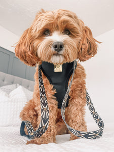 Opulence Deluxe Vegan Leather Adjustable Harness & Lead Bundle