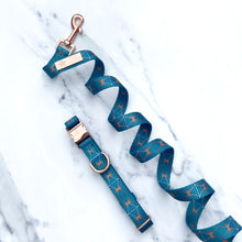 Load image into Gallery viewer, Teal Diamond Deluxe  - Collar &amp; Lead Bundle
