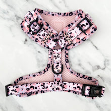 Load image into Gallery viewer, Blush Safari Five Piece Walkies Bundle - Save £25
