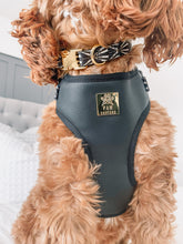 Load image into Gallery viewer, Opulence Deluxe Vegan Leather Adjustable Harness
