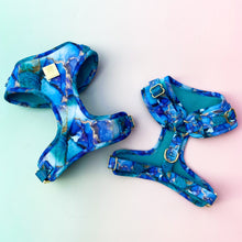 Load image into Gallery viewer, Agate Deluxe Adjustable Harness &amp; Lead Bundle
