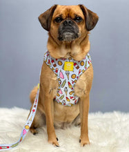 Load image into Gallery viewer, Ice Ice Doggy Adjustable Harness &amp; Lead Bundle
