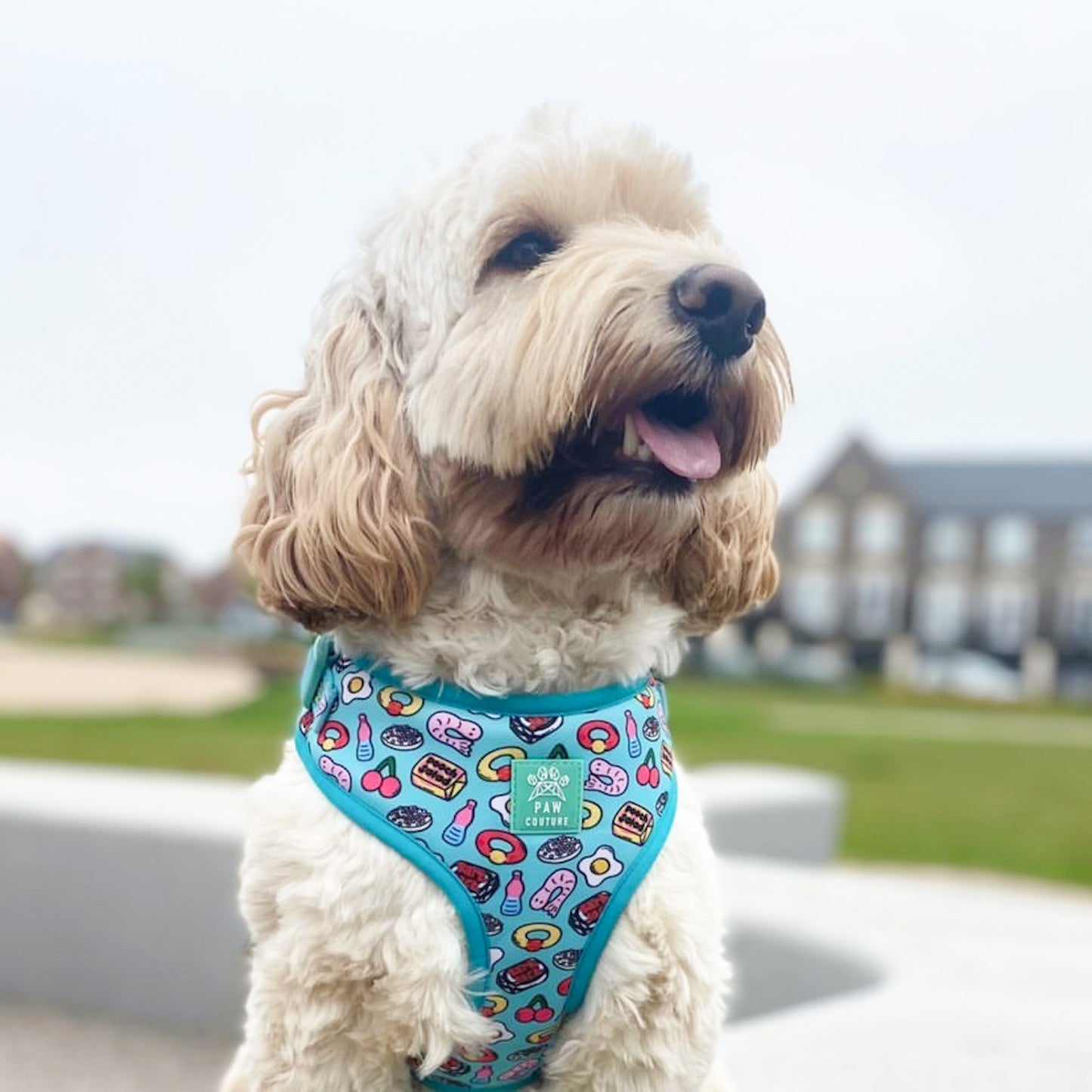 Pup 'n' Mix Adjustable Harness