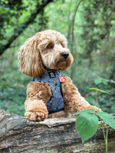 Load image into Gallery viewer, Onyx Jungle Adjustable Harness
