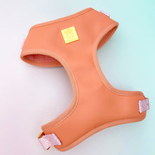Load image into Gallery viewer, Malibu Sunset Deluxe Vegan Leather Adjustable Harness &amp; Lead Bundle
