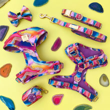 Load image into Gallery viewer, Rainbow Agate Deluxe Bow Tie
