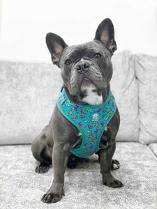 Origamisaur Adjustable Harness