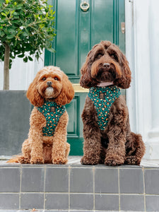 Emerald Safari Deluxe Adjustable Harness