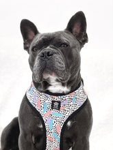 Load image into Gallery viewer, Bark of Art Adjustable Harness

