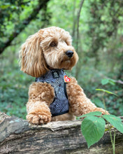 Load image into Gallery viewer, Onyx Jungle Five Piece Walkies Bundle - Save £25
