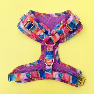 *DESPATCHES W/C 2ND OCT* Rainbow Agate Deluxe Adjustable Harness & Lead Bundle