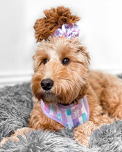 Load image into Gallery viewer, Pawcasso Adjustable Harness &amp; Lead Bundle
