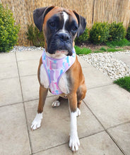 Load image into Gallery viewer, Pawcasso Adjustable Harness

