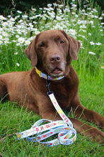 Load image into Gallery viewer, Ice, Ice Doggy Collar

