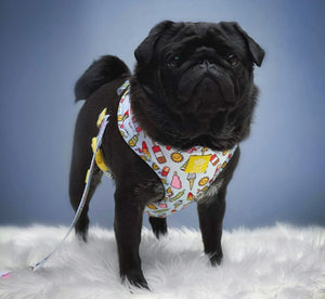 Ice, Ice Doggy Adjustable Harness