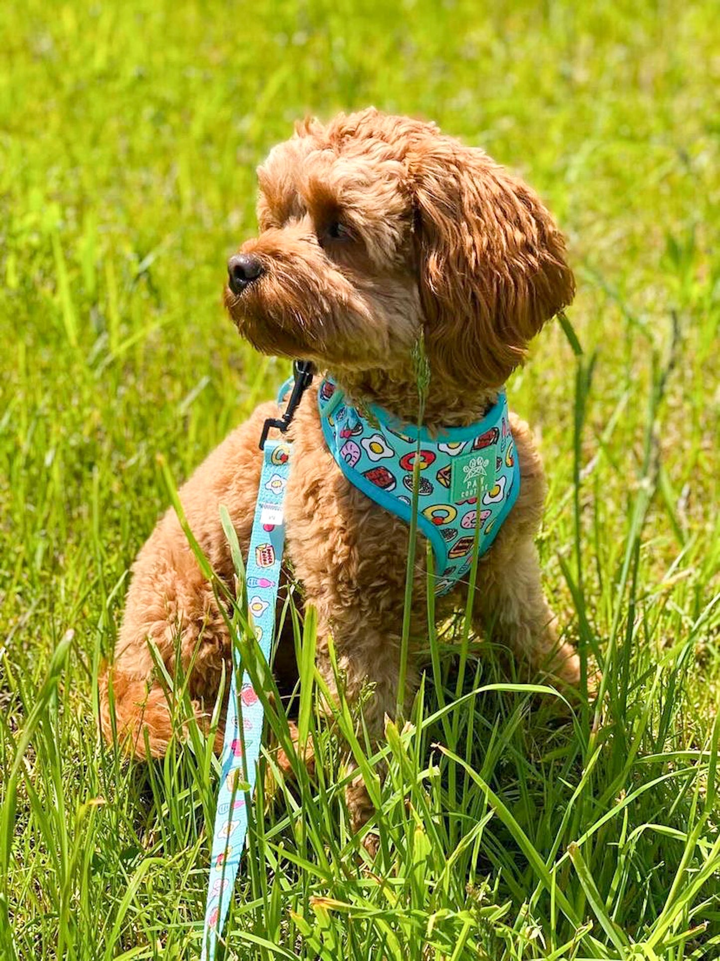 Pup 'n' Mix Adjustable Harness