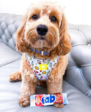 Load image into Gallery viewer, Ice Ice Doggy Adjustable Harness &amp; Lead Bundle
