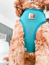 Load image into Gallery viewer, Teal Diamond Deluxe Adjustable Quilted Harness
