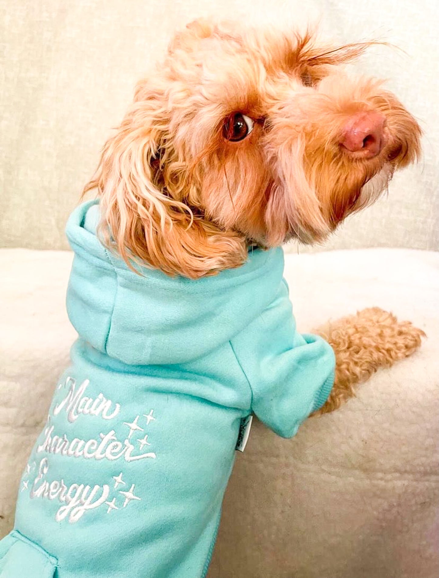 Main Character Energy Turquoise Embroidered Zip up Dog Hoodie
