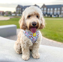 Load image into Gallery viewer, Ice, Ice Doggy Adjustable Harness
