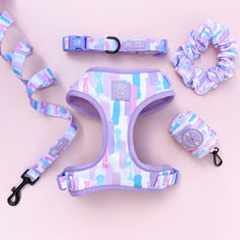 Load image into Gallery viewer, Pawcasso Adjustable Harness
