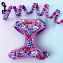 Load image into Gallery viewer, Blossom Adjustable Harness &amp; Lead Bundle
