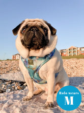 Load image into Gallery viewer, Agate Deluxe Four Piece Walkies Bundle - Save £25
