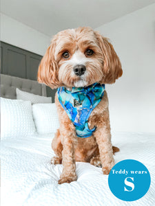 Agate Deluxe Adjustable Harness & Lead Bundle